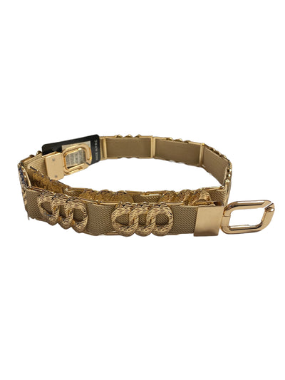 Ceinture élastique et métal